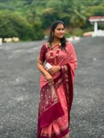 Elite Banaras Warm Silk with Beautiful Colour Combos - Image 3