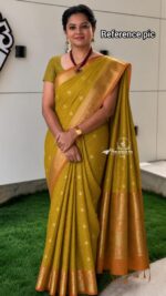 Banarasi Checked Soft Katan silk Saree